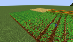 【マイクラ】畑の作り方・全15種類の作物の育て方【農業の基本】