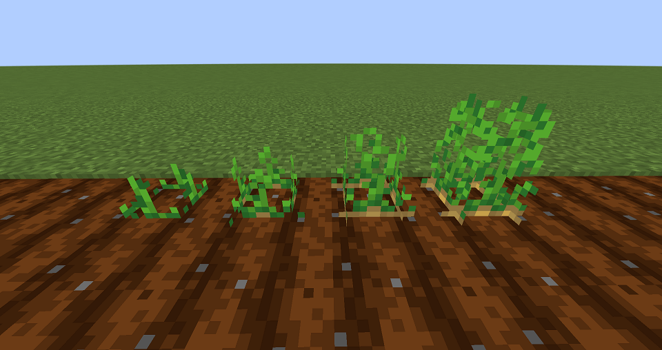 ジャガイモの成長段階
