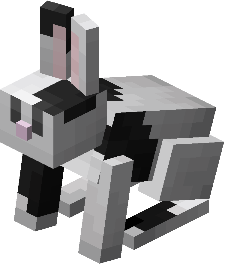 白黒模様のウサギ