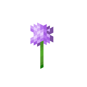 【マイクラ】アリウムの特徴・入手方法・使い道を紹介【クラフト材料・装飾】