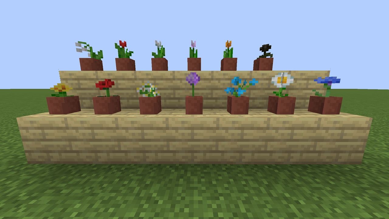 植えられた花の一覧