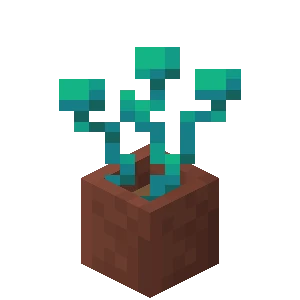 歪んだ根入り植木鉢