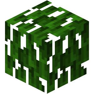 【マイクラ】マングローブの葉の特徴・入手方法・使い道を紹介