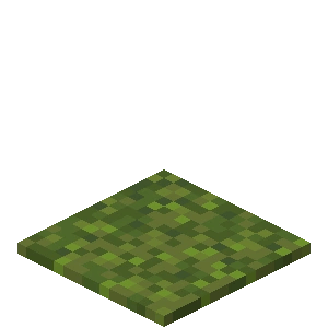 【マイクラ】苔のカーペットの特徴・入手方法・使い道を紹介
