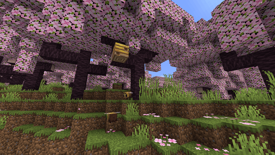 ハチの巣とサクラの木