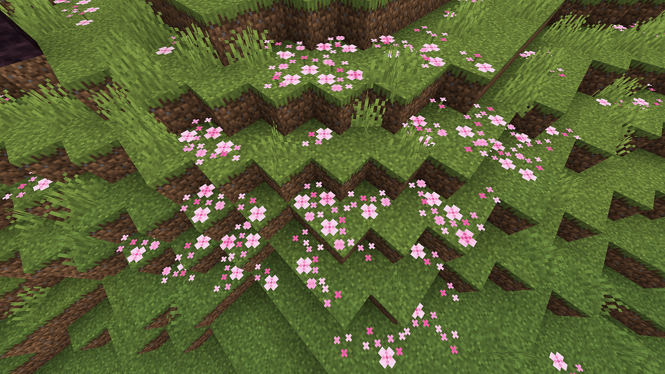 桜色の花びら