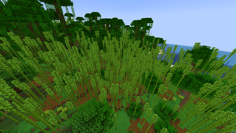 ジャングルの竹林