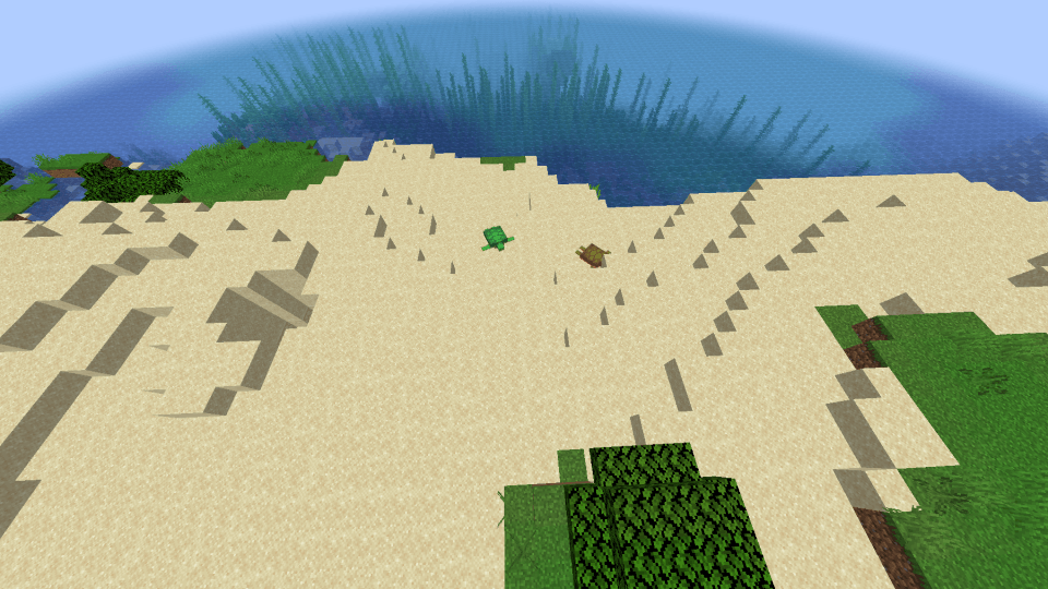 カメがスポーンする砂浜