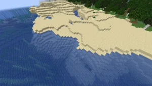 砂浜