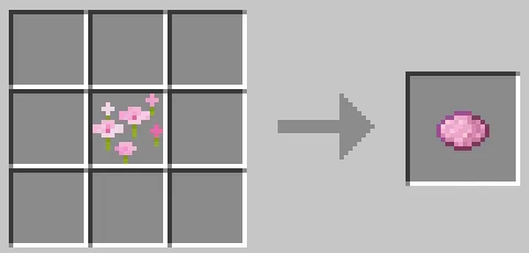 桜色の花びらを使った桃色の染料のクラフト方法