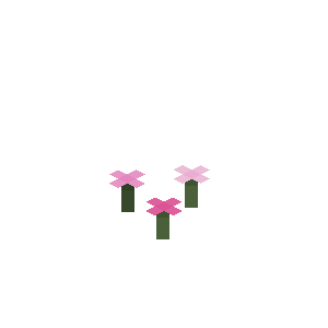 ピンクの花びら（1枚）
