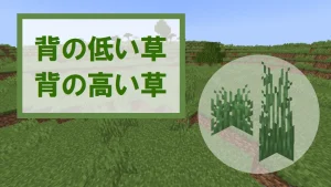 【マイクラ】背の低い草・背の高い草の特徴・入手方法・使い道を紹介