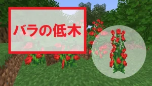 【マイクラ】バラの低木の特徴・入手方法・使い道を紹介【クラフト材料・装飾】