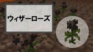 【マイクラ】ウィザーローズの特徴・入手方法・使い道を紹介【衰弱ダメージ・装飾】