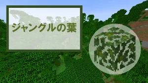 【マイクラ】ジャングルの葉の特徴・入手方法・使い道を紹介