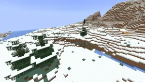 雪原