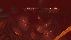 ネザーの荒地
