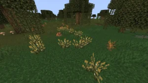 沼地