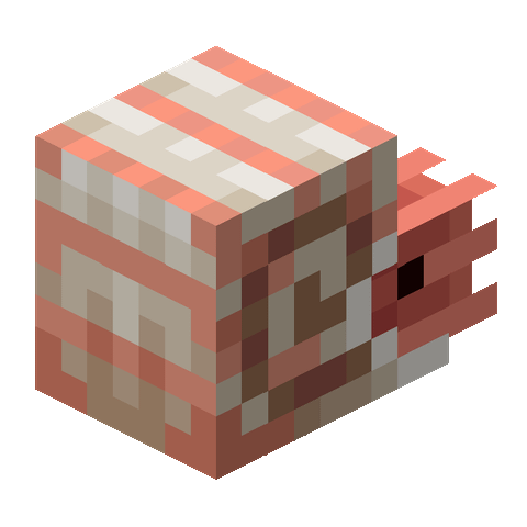 子供のオウムガイ