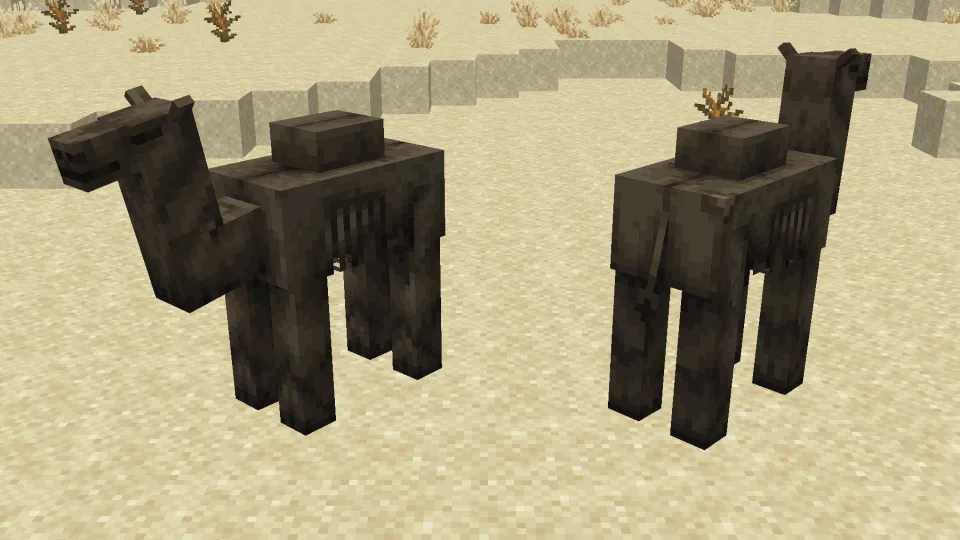 ラクダハスクの前後を並べた見た目