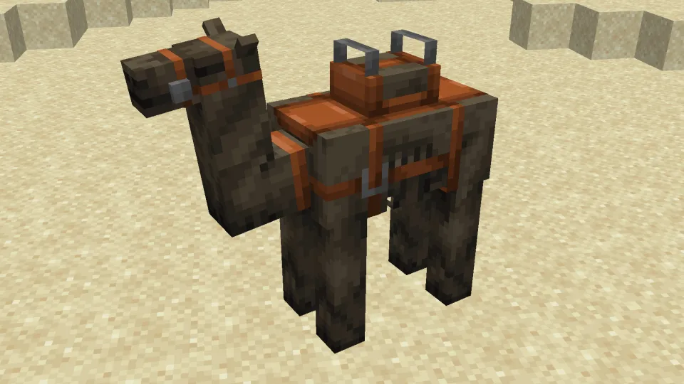 ラクダハスクが砂漠を歩いている