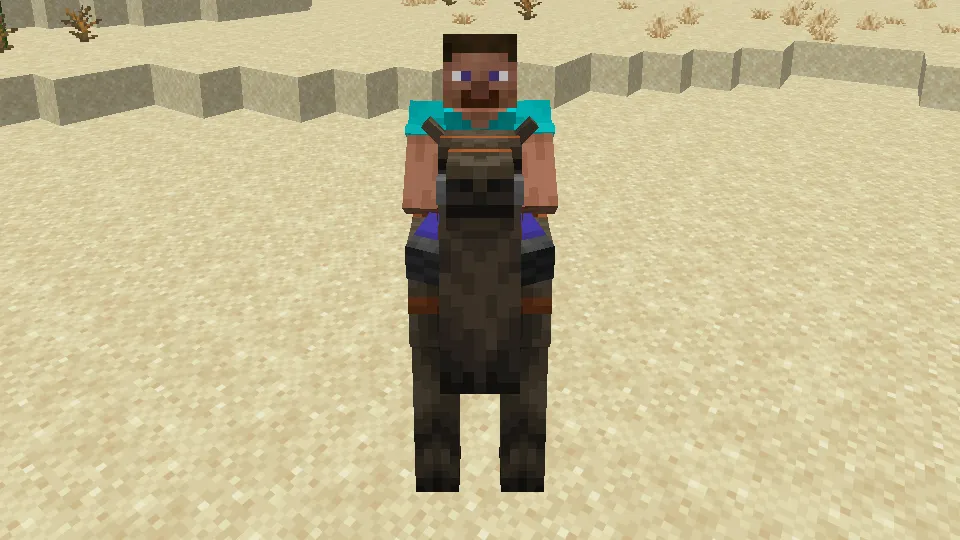 ラクダハスクに乗るプレイヤー