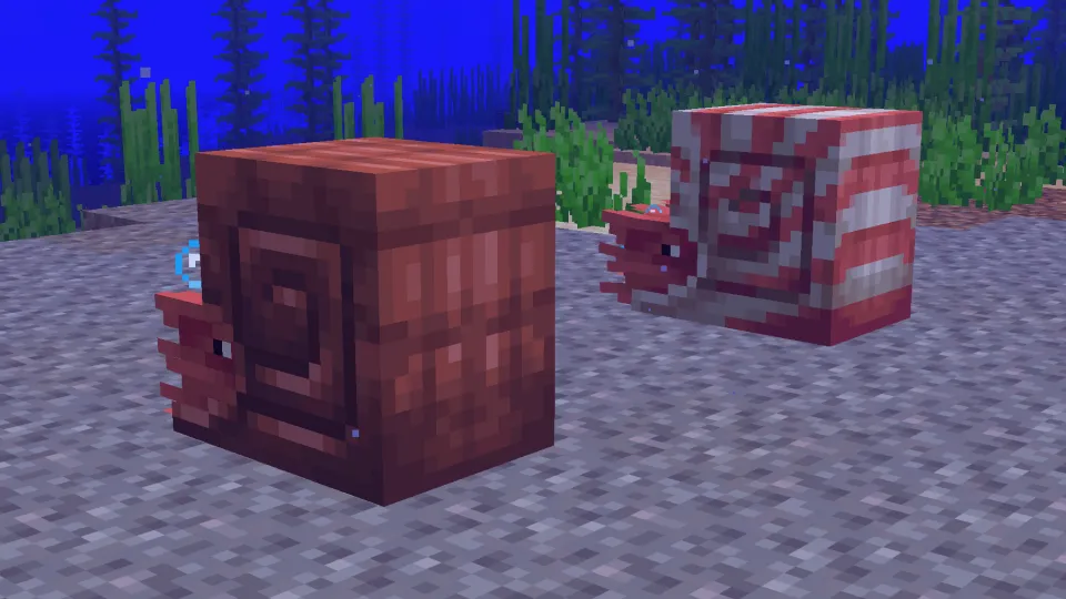 鎧装備のオウムガイと普通のオウムガイ