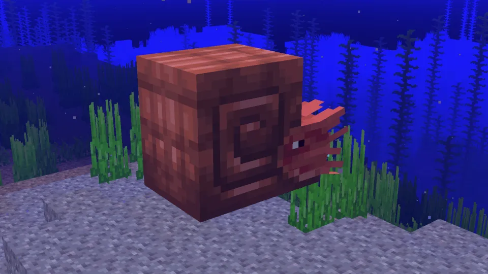 銅のオウムガイの鎧を装着したオウムガイ