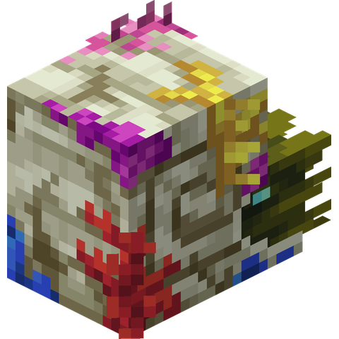 サンゴのゾンビオウムガイ