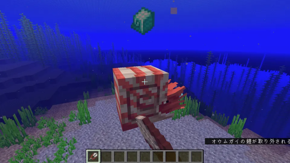 ハサミでダイヤモンドのオウムガイの鎧を外す様子