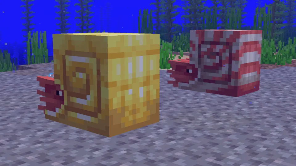 金のオウムガイの鎧装備のオウムガイと普通のオウムガイ