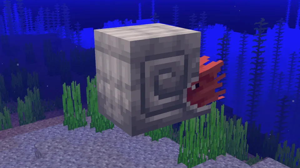 鉄のオウムガイの鎧を装着したオウムガイ