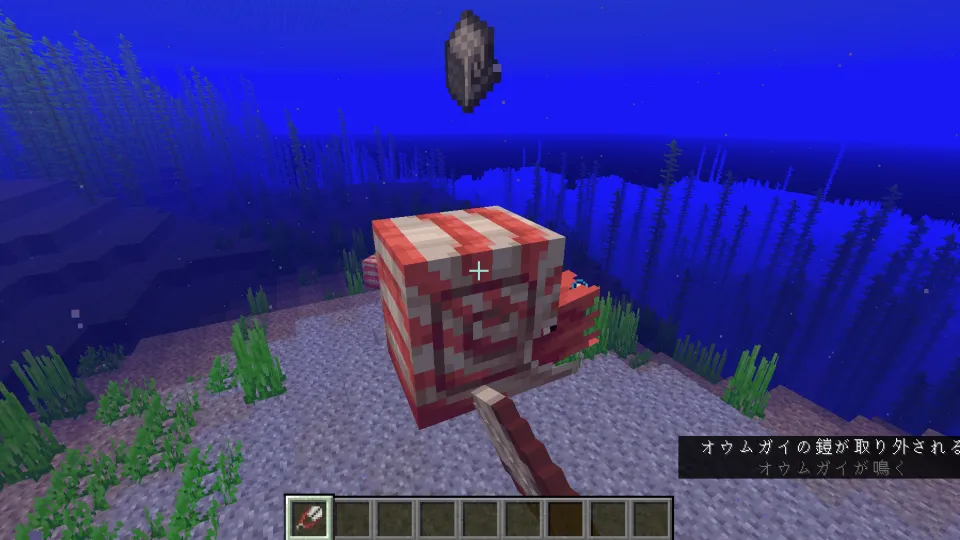 ハサミで鉄のオウムガイの鎧を外す様子