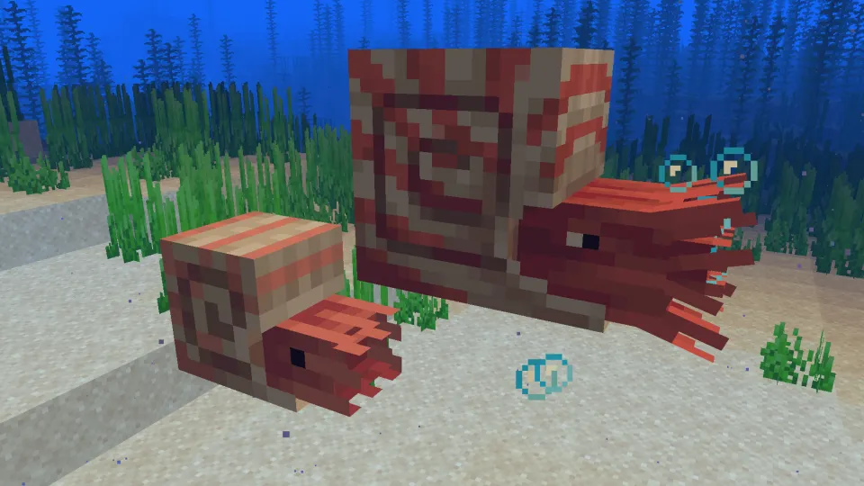 オウムガイと子供のオウムガイの見た目