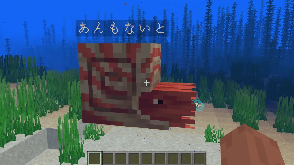 名札でオウムガイに名前をつける