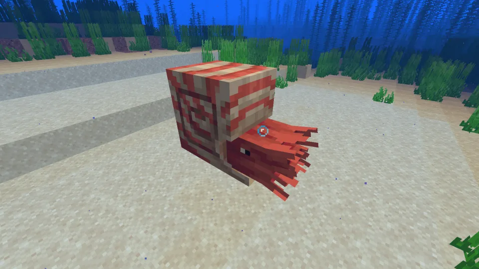 野生のオウムガイが泳いでいる様子