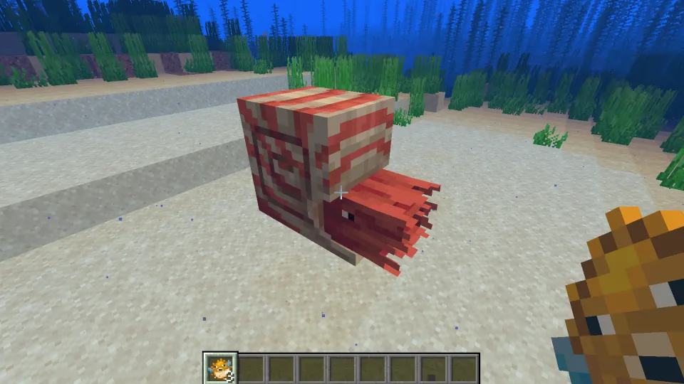 フグを持ってオウムガイに近づく