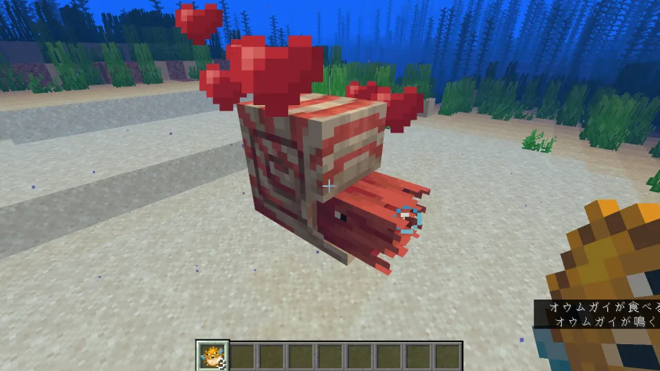 オウムガイの手懐け