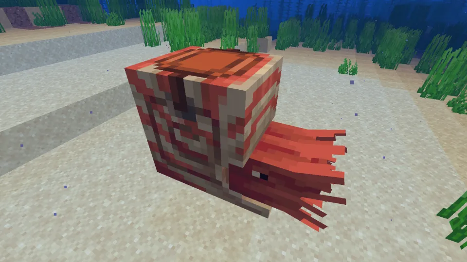 鞍をつけたオウムガイ