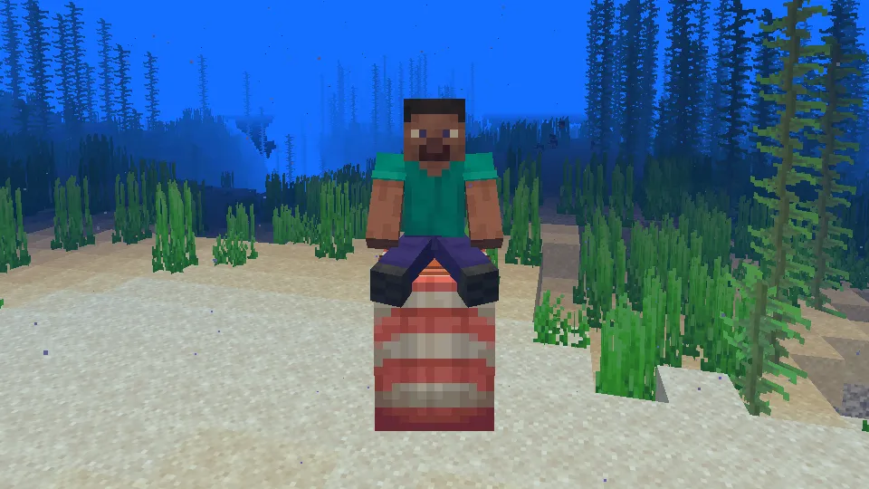 鞍を装備したオウムガイに乗っている様子