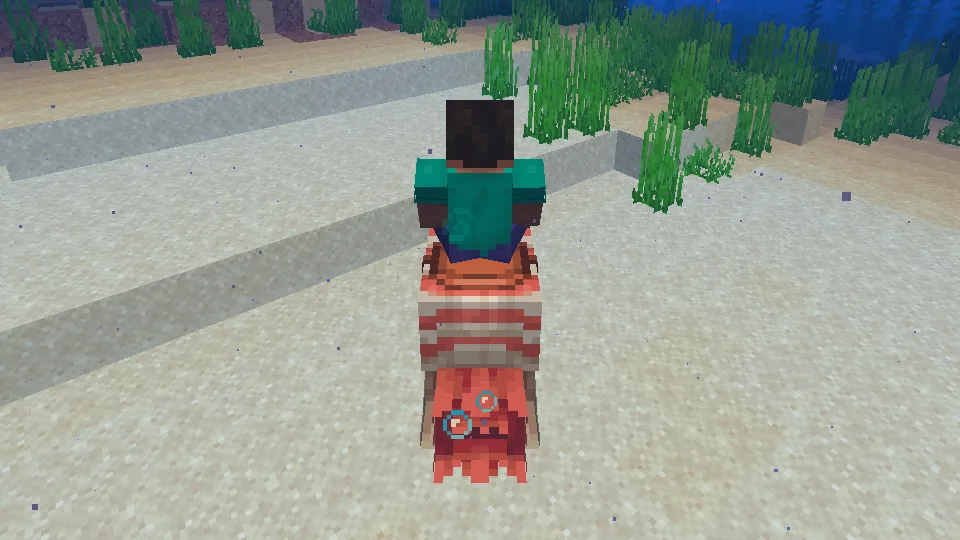 オウムガイに乗って海を移動している