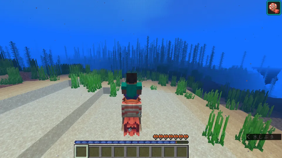 オウムガイに乗ってダッシュゲージを表示している