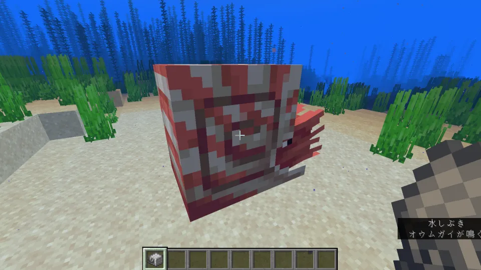 鉄のオウムガイの鎧を持ってオウムガイに向かっている様子