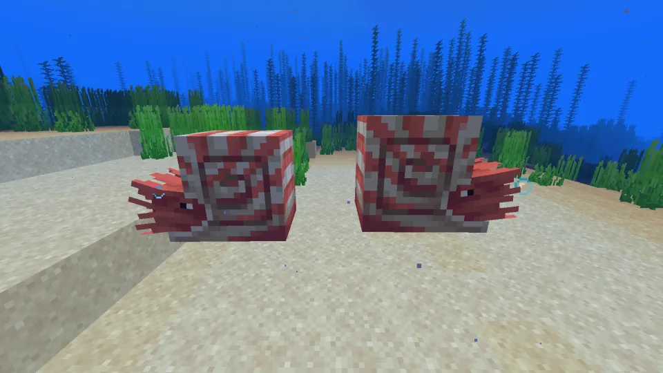 向かい合うオウムガイ