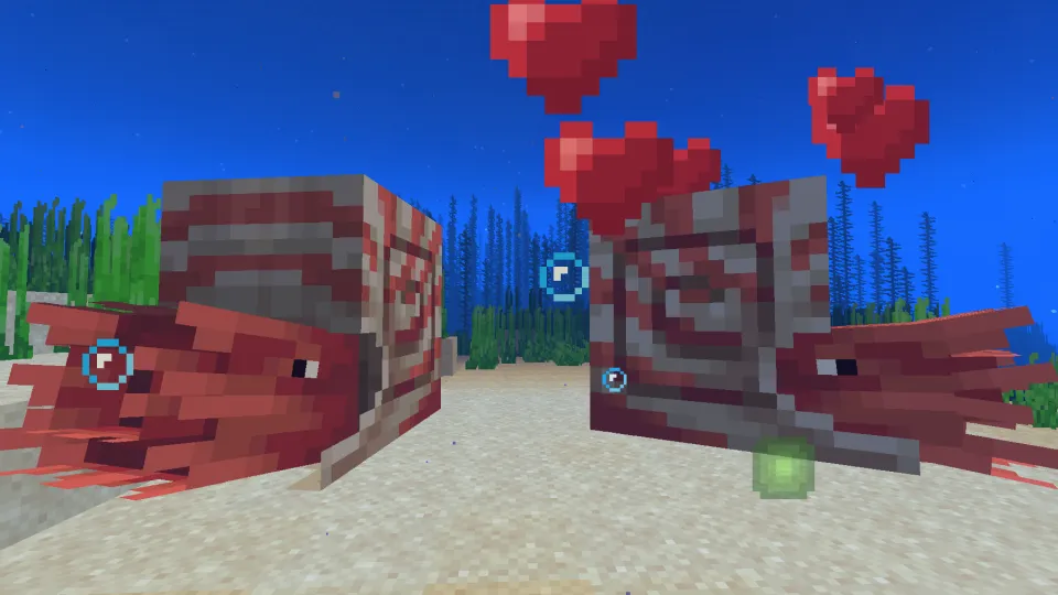 オウムガイに魚を与えるとハートが出る様子