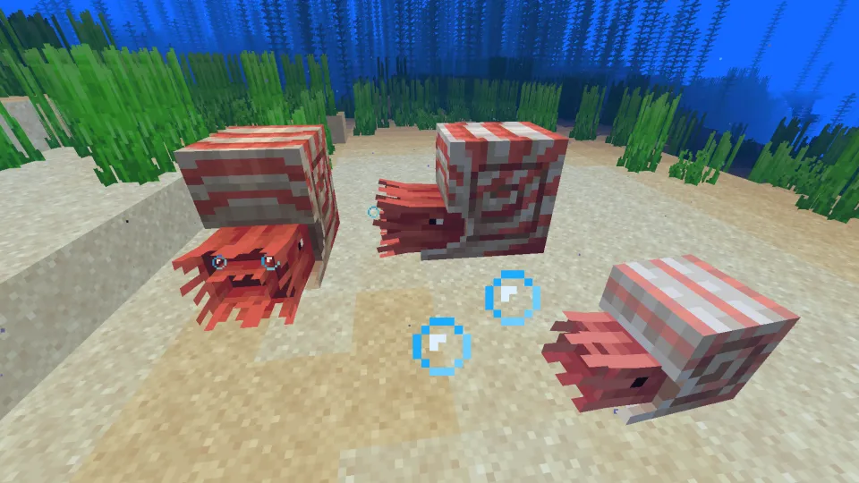 オウムガイの子供が生まれる様子