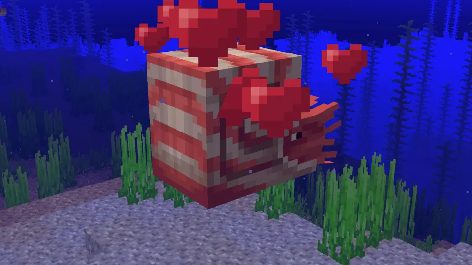 オウムガイの手懐け