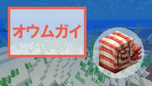 【マイクラ】オウムガイのスポーン条件、繁殖方法、乗り方、生態を詳しく紹介