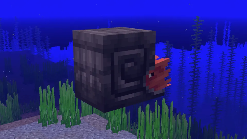 ネザライトのオウムガイの鎧を装着したオウムガイ