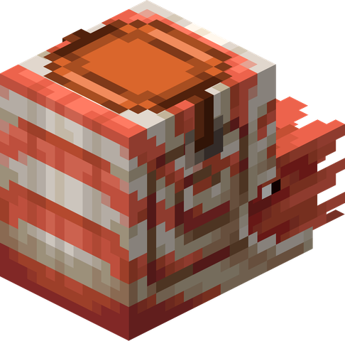 サドルを装備したオウムガイ